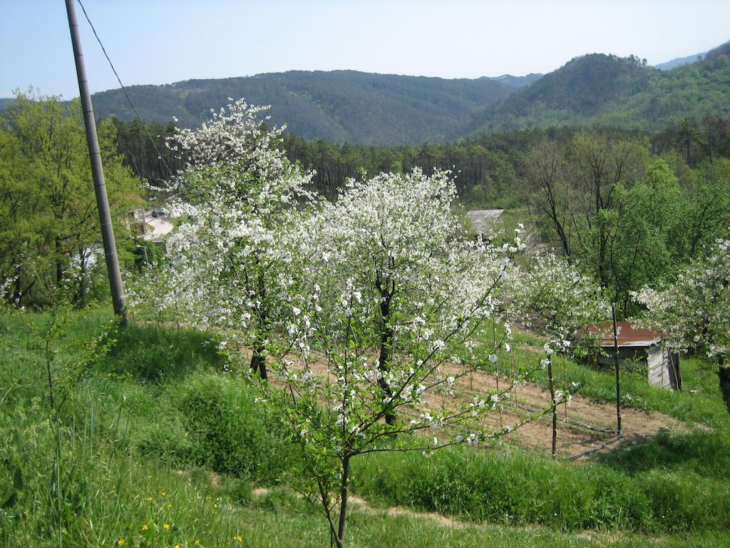Agriturismo Casalino Beverino Ngoại thất bức ảnh
