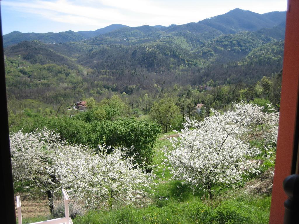 Agriturismo Casalino Beverino Ngoại thất bức ảnh